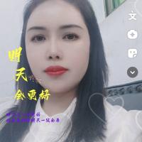 西西游戏工作室